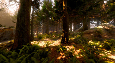 Samsung QLED VR 360 Foresta 3D